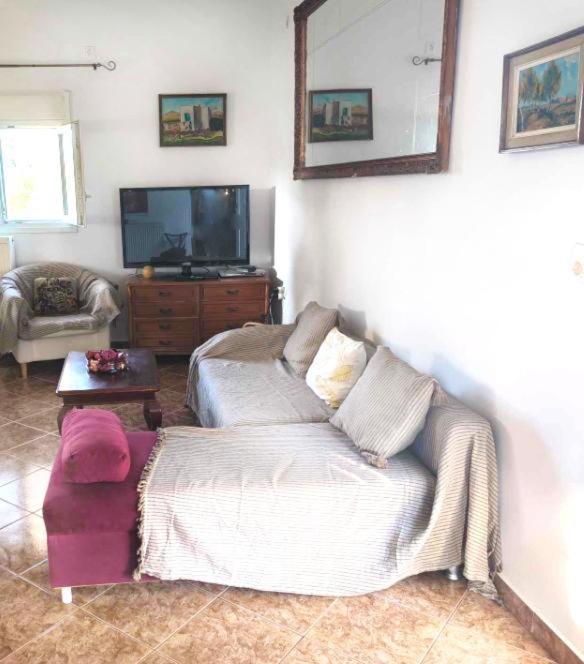 Elena'S Farm House Near Airport And Artemida Beach المظهر الخارجي الصورة