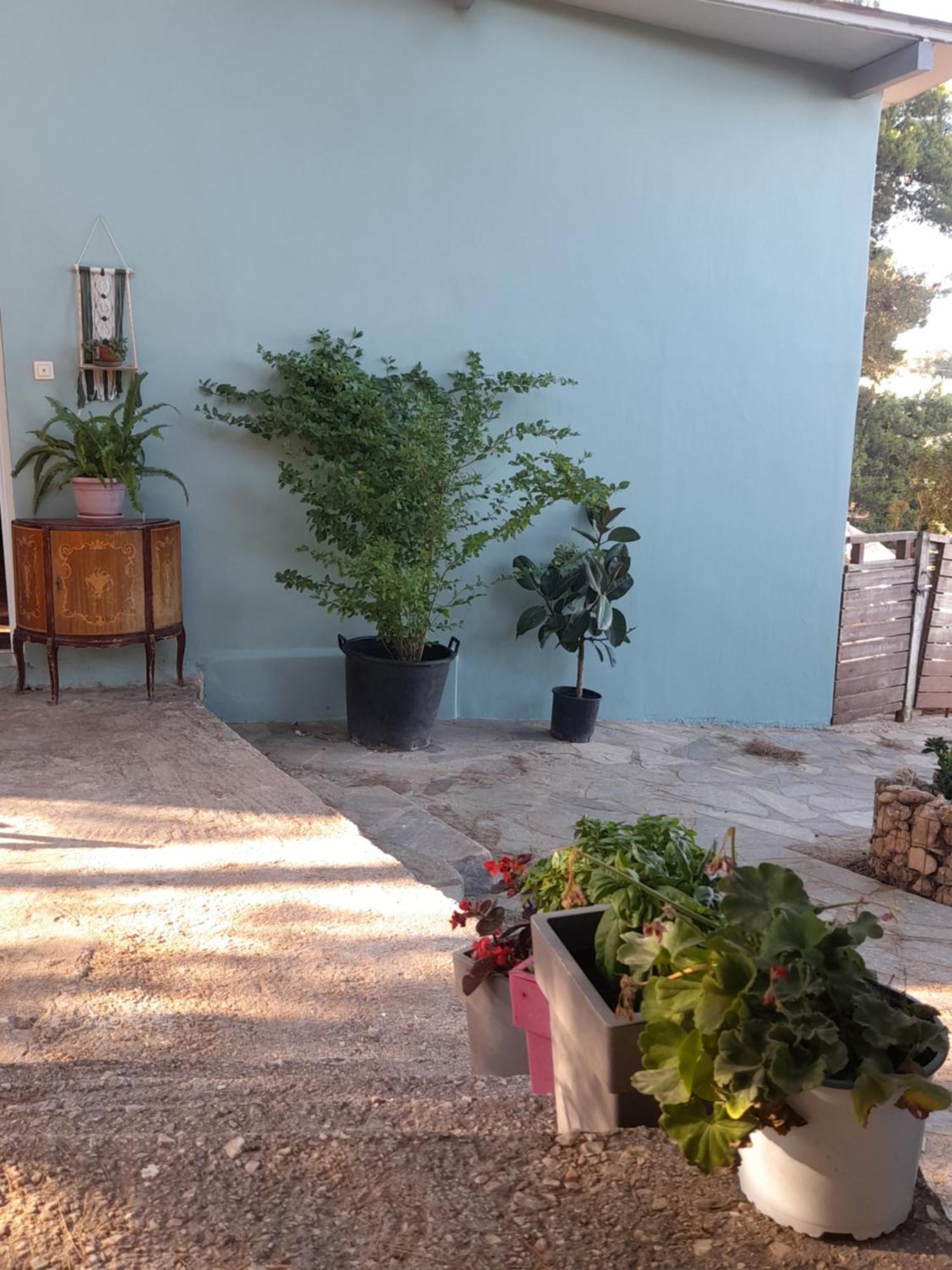 Elena'S Farm House Near Airport And Artemida Beach المظهر الخارجي الصورة